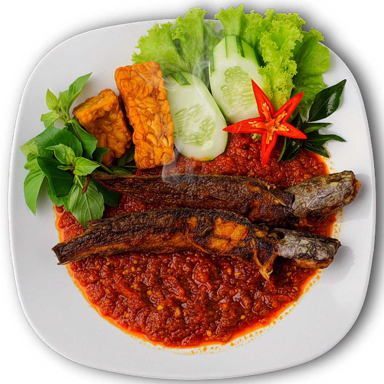 Remove background project (4)